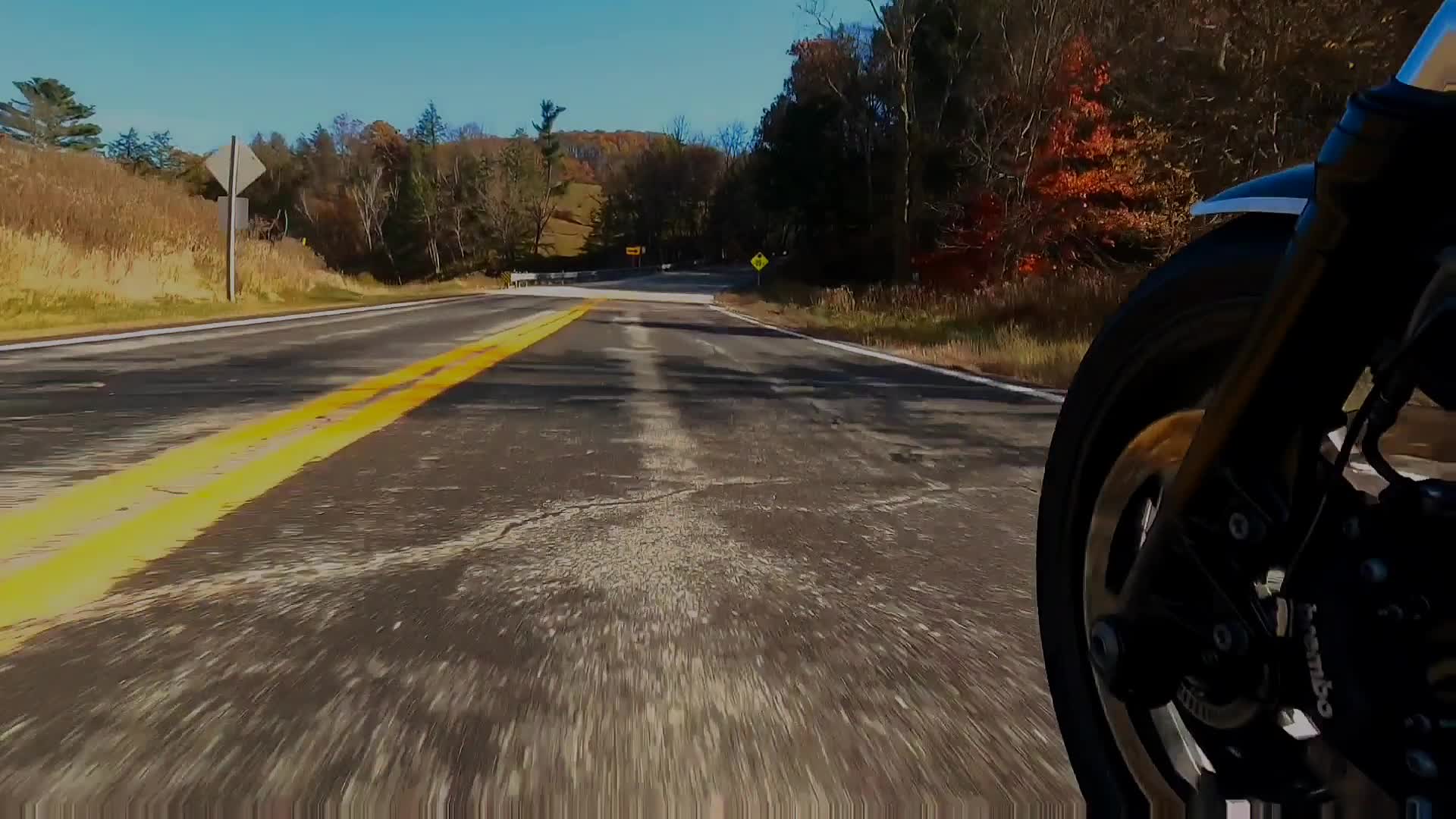 @synapsecyclewerks