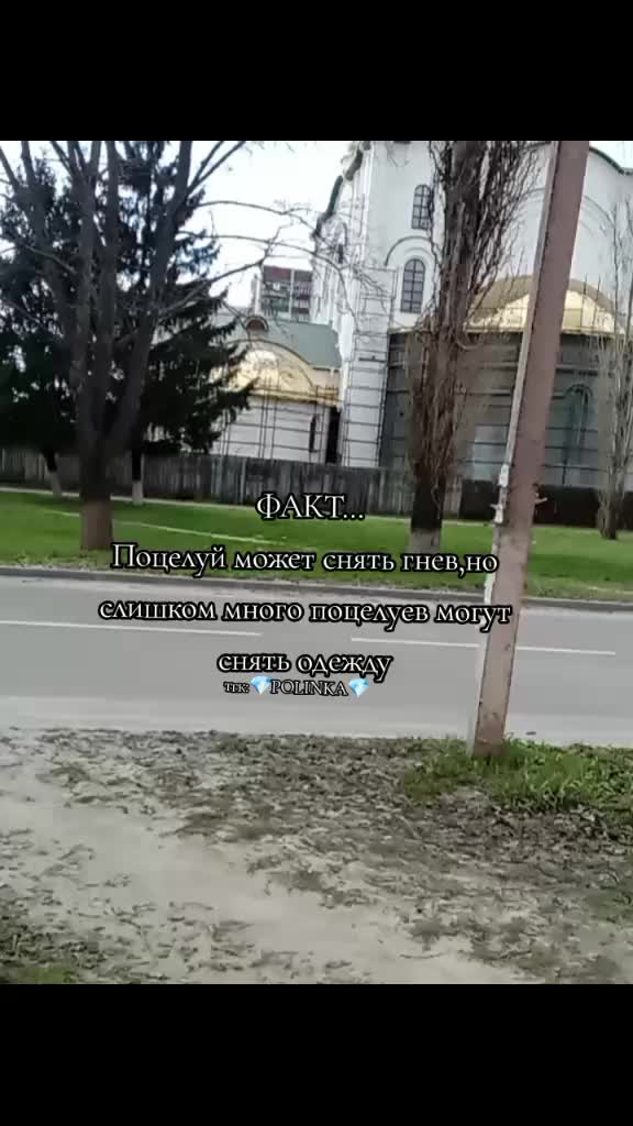 @🕷️Поля экс🕷️