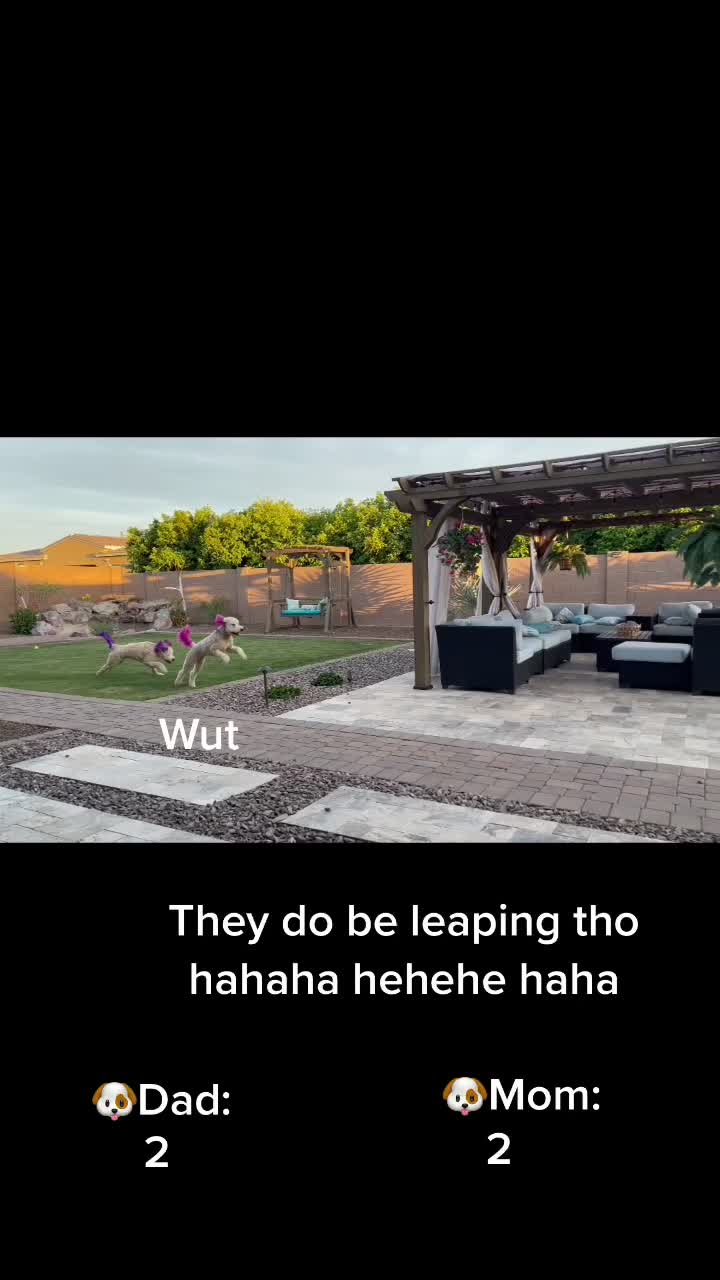 @Lia
