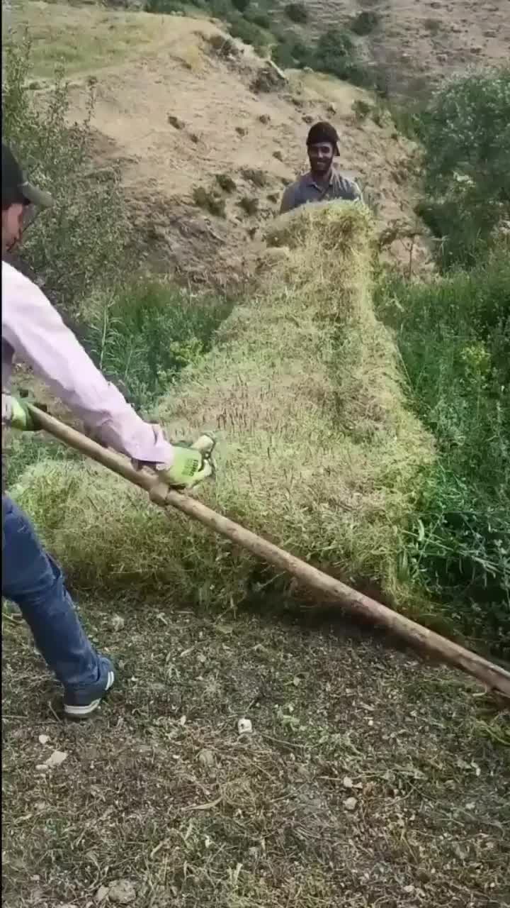 @𝙨𝙖𝙢𝙥𝙖𝙨 tanıtım