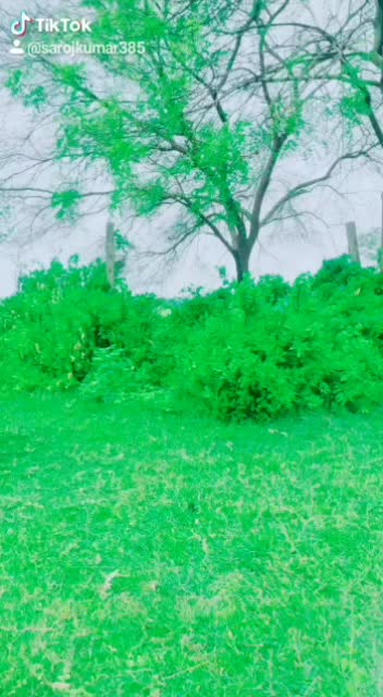 @manas kumar