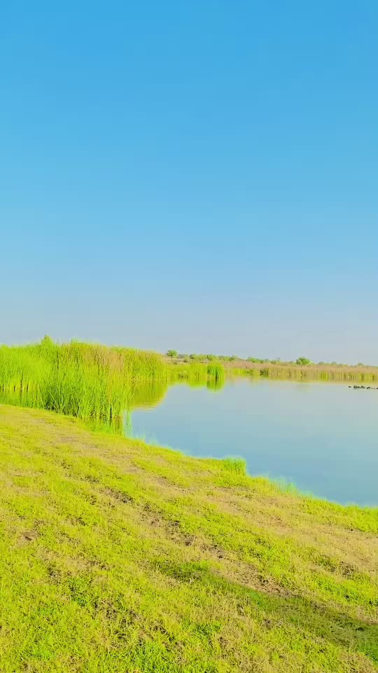 @Wasim Ali Buriro