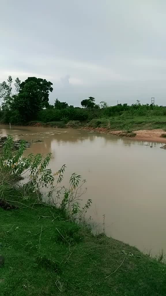 @laxmi netam