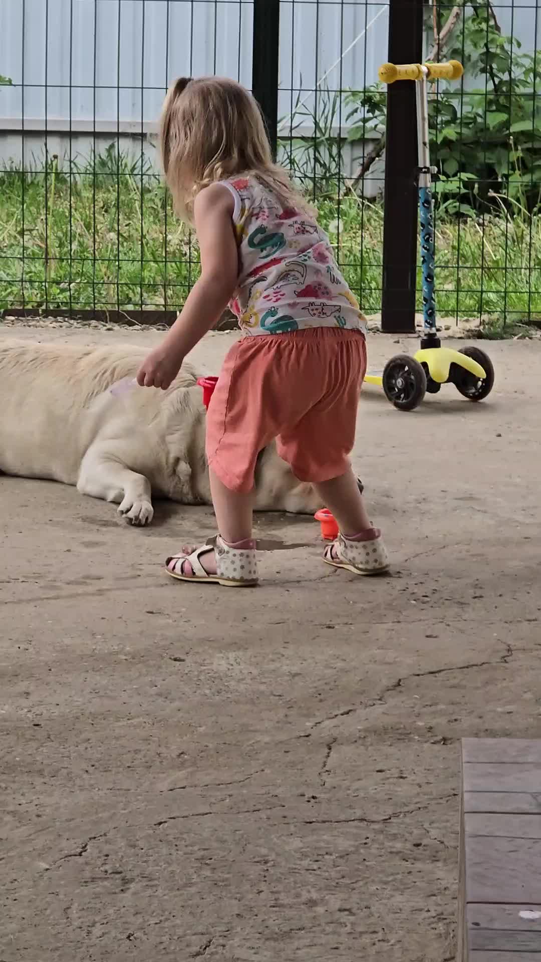 @Смешной Большой Папа