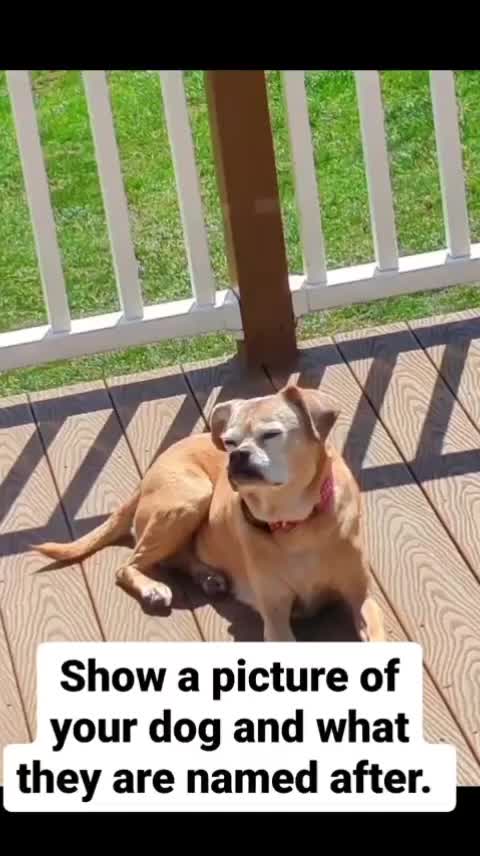 @jeannagrad