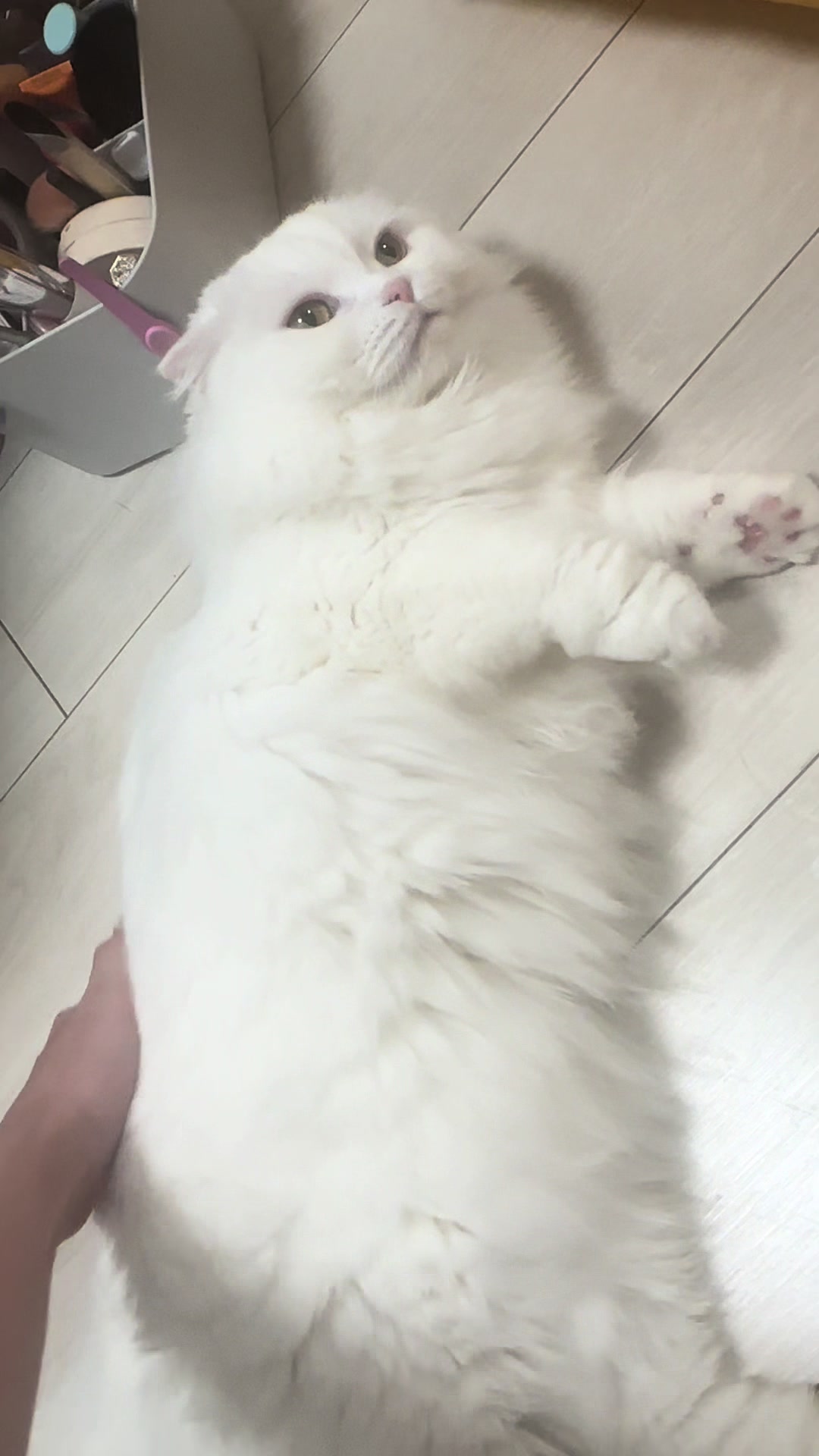 @もっちぬ