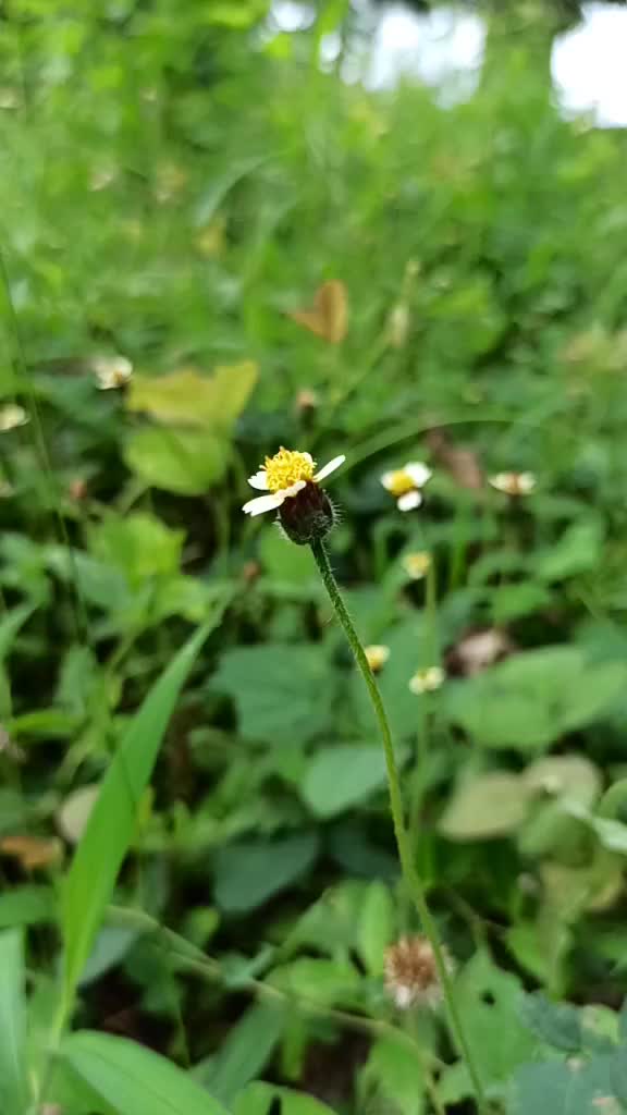 @പൊന്നൂസിന്റെ രാജി😍