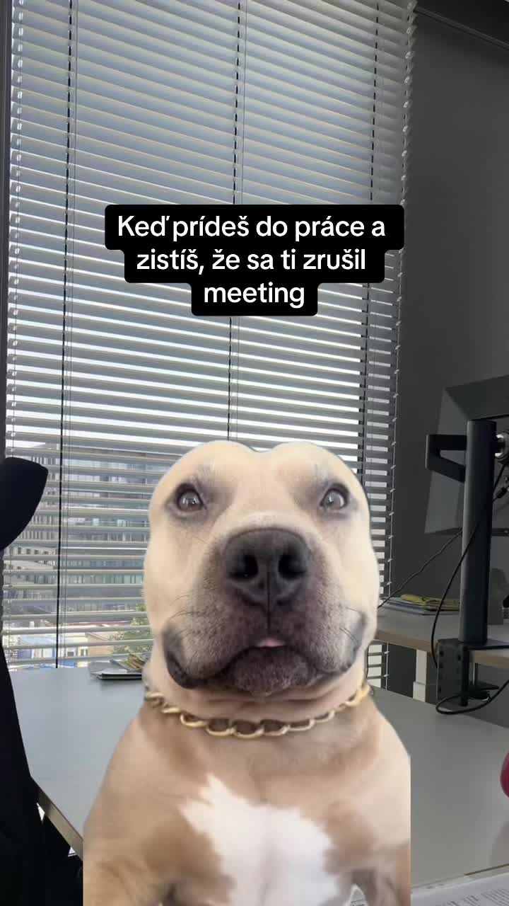 @My Brand Agency
