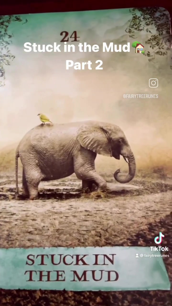 @Fairytreerunes