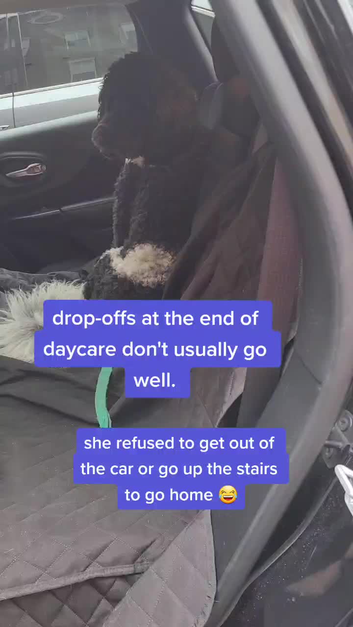 @diamondsdoggydaycare