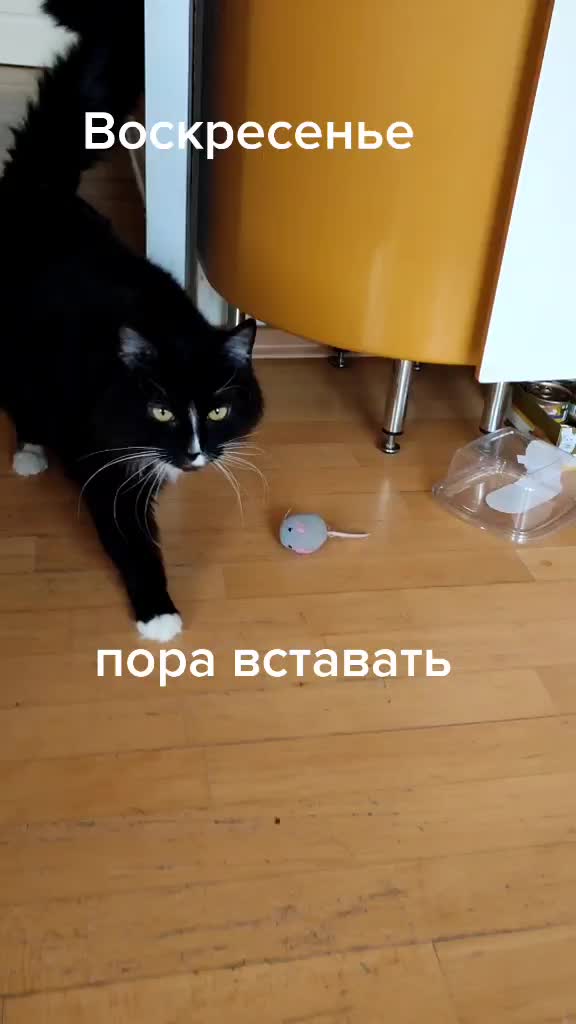 @user210029 фëдор