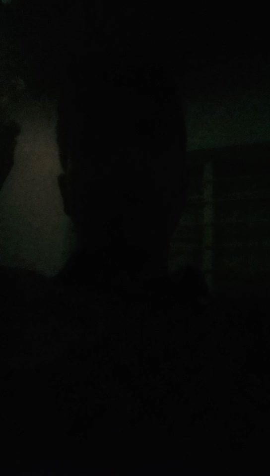 @rebomalikm
