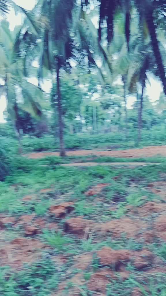 @spandana kumar