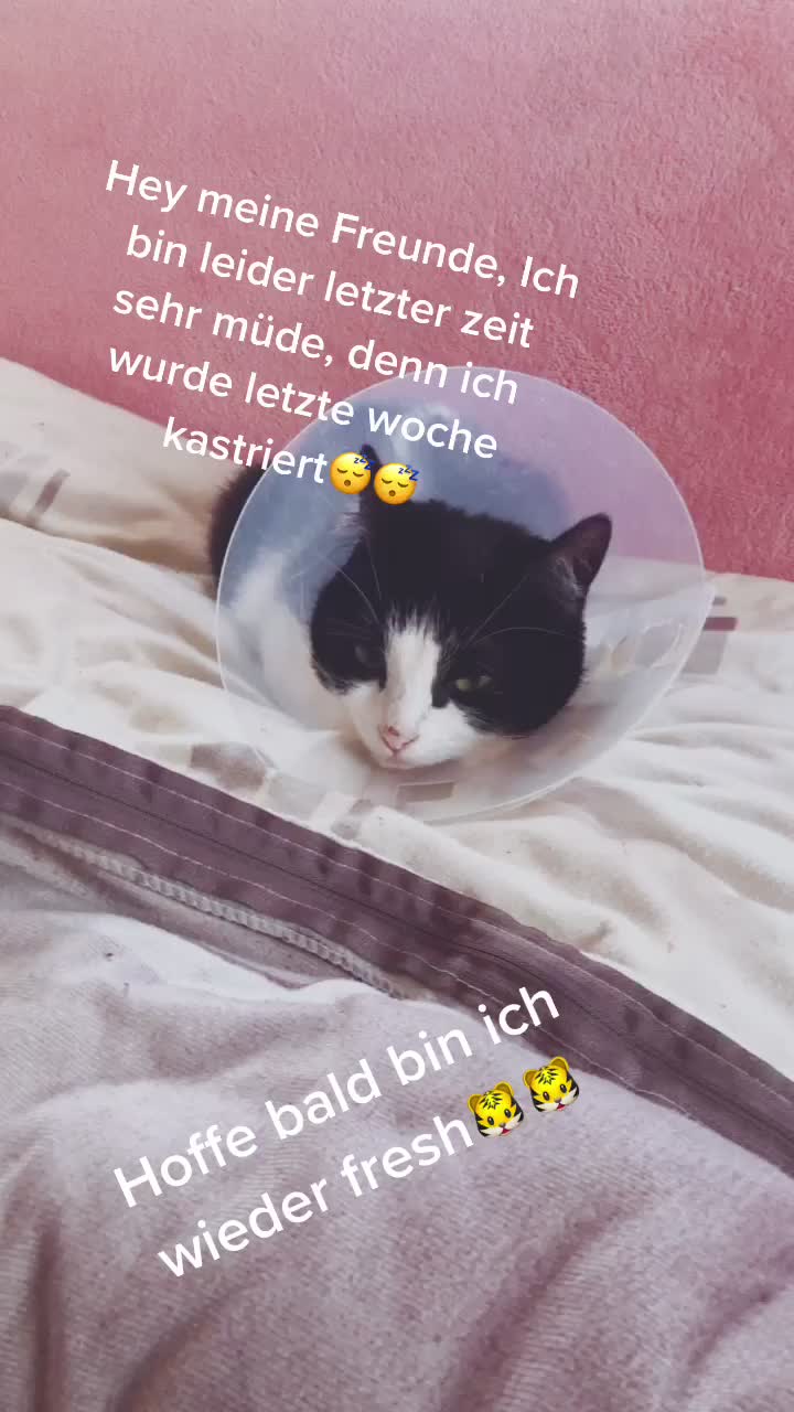 @Bijumon