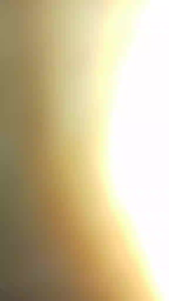 @dhirashreekalita2018