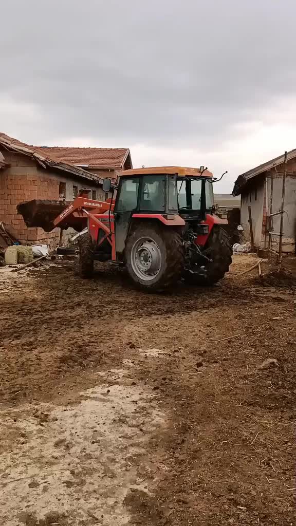 @Emmi Oğulları