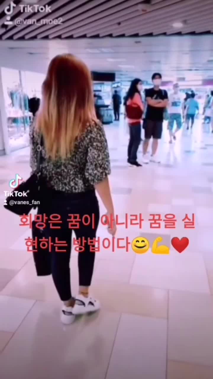 @vanmoe