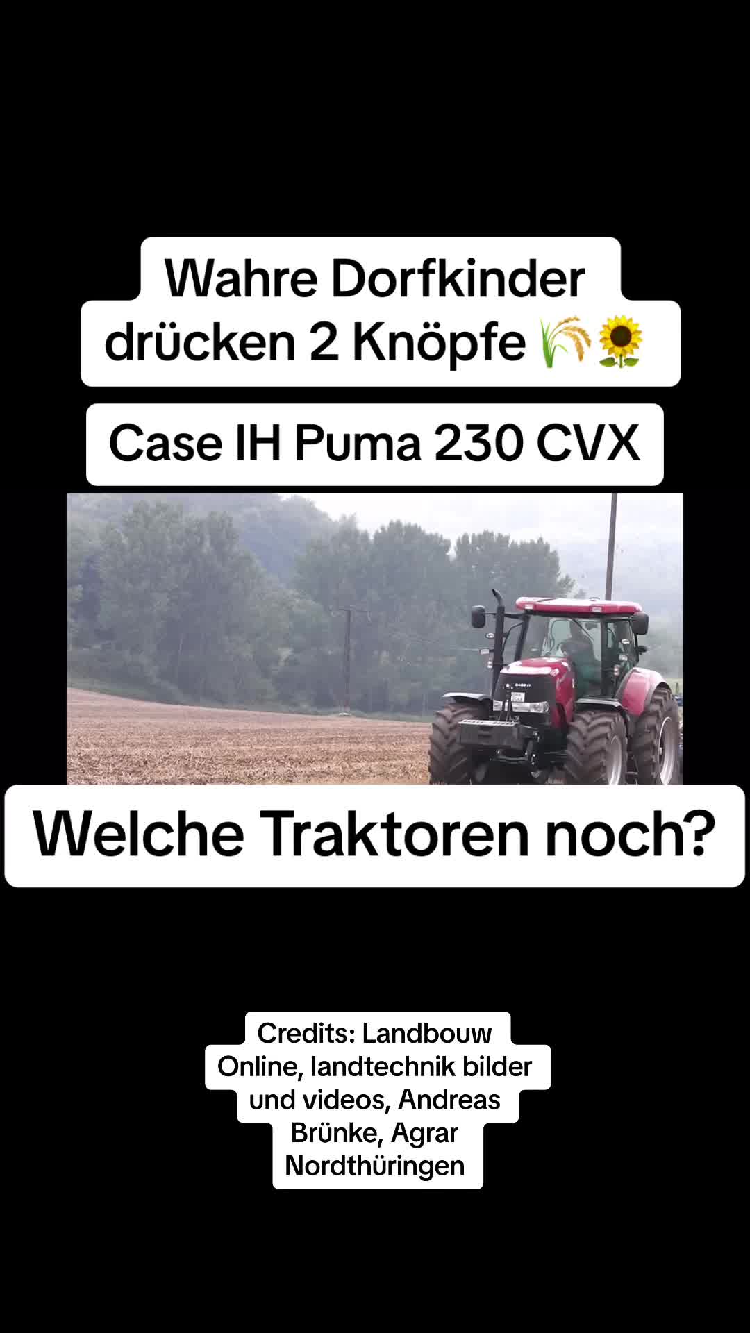 @Dorfkind