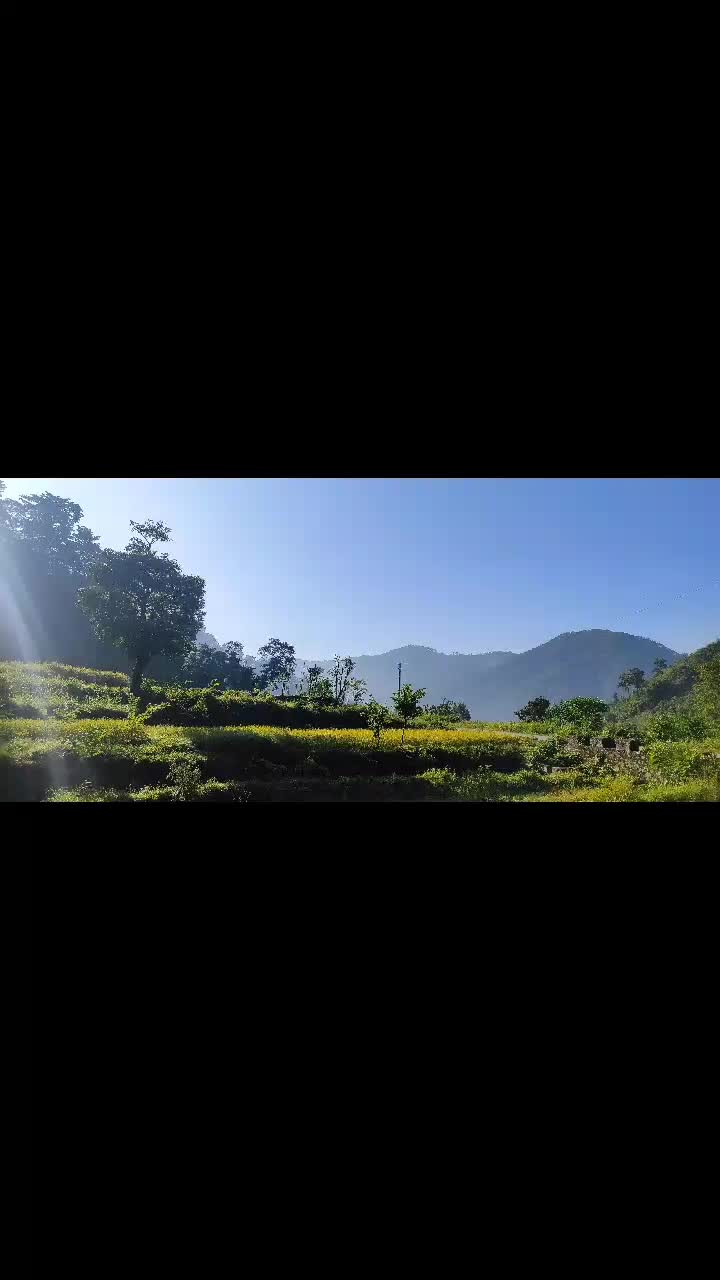 @Sandip Paudel