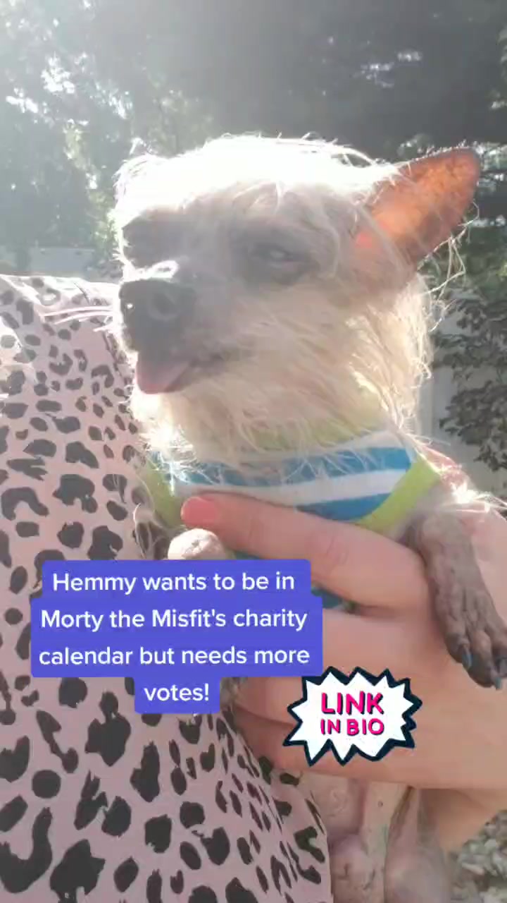 @Hemmy Lee