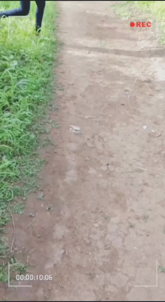 @pupps😘A