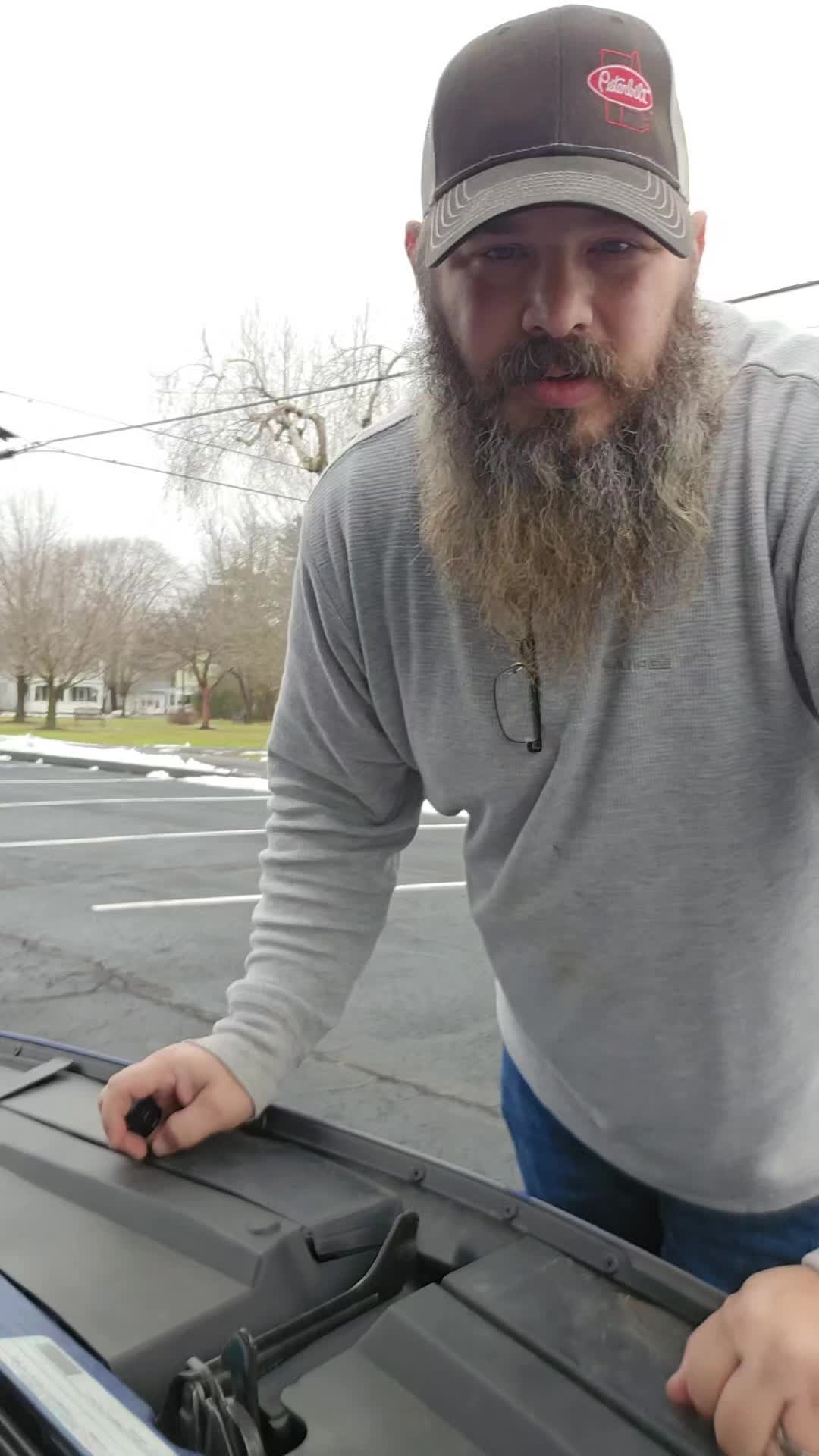 @chinchillagod