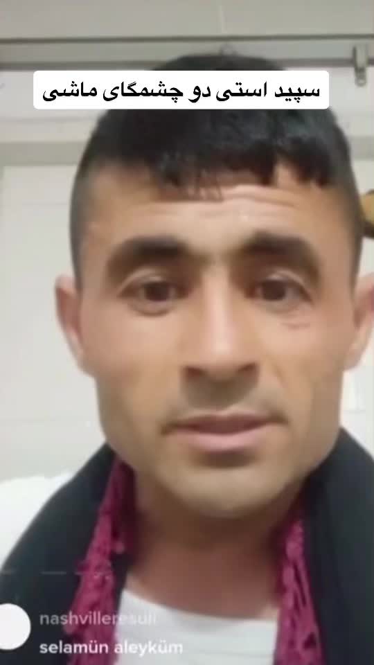 @TikTok Watani