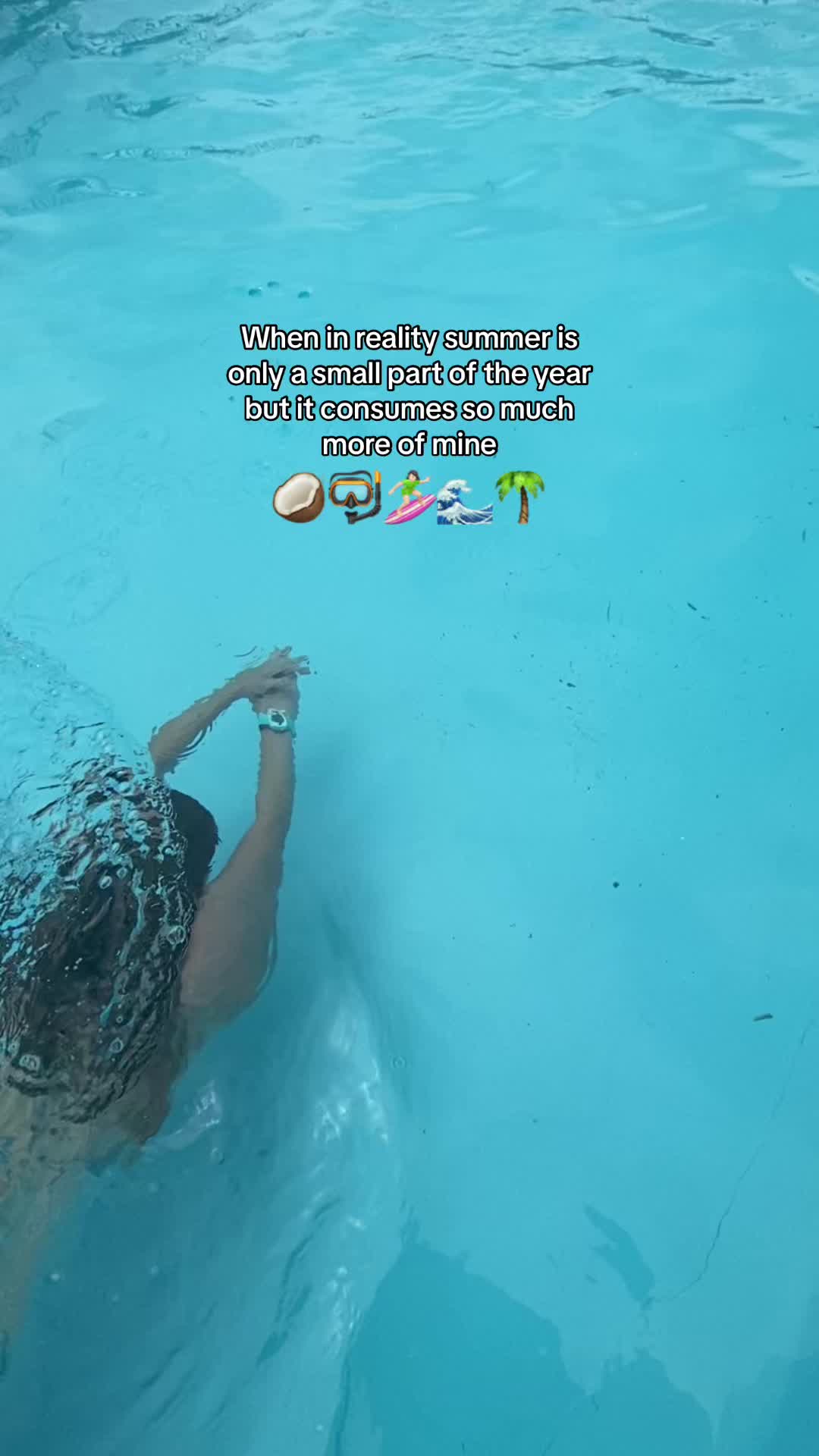 @🤿🌊🌺🐚☀️🦭