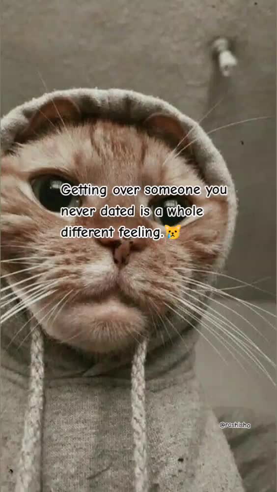 @🍀