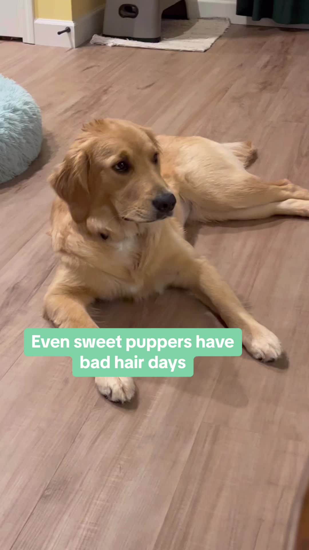 @Winnie the Golden Girly