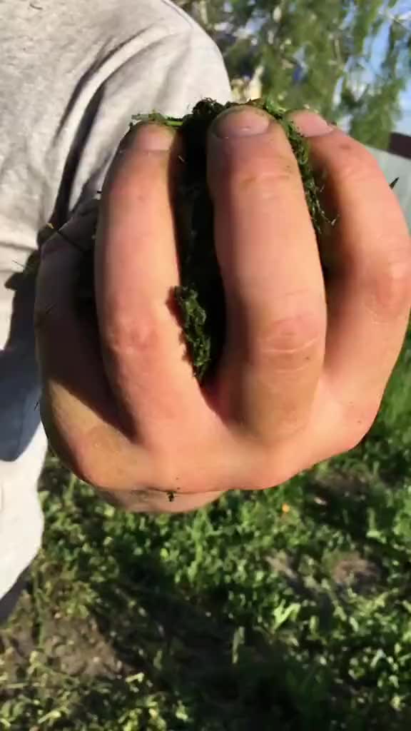 @majorik_