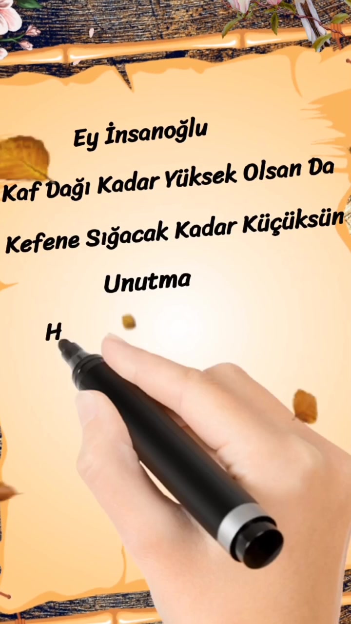 @kelebeğin d&uuml;nyası