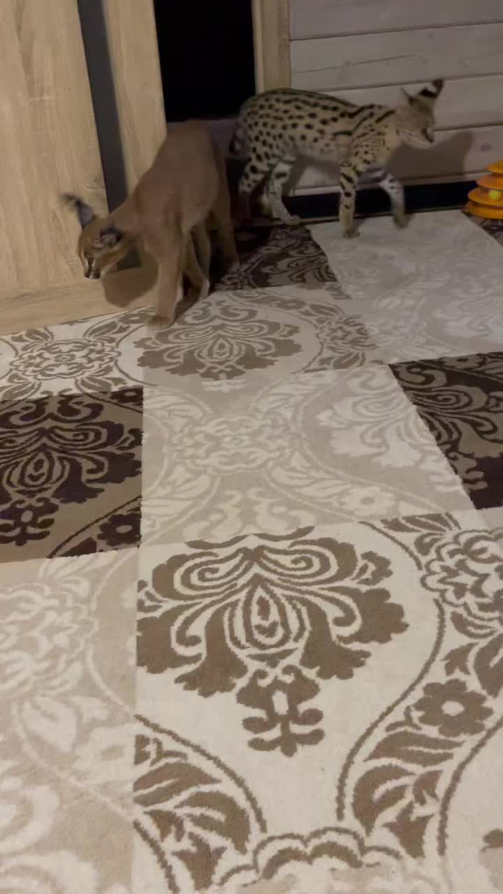 @Анна
