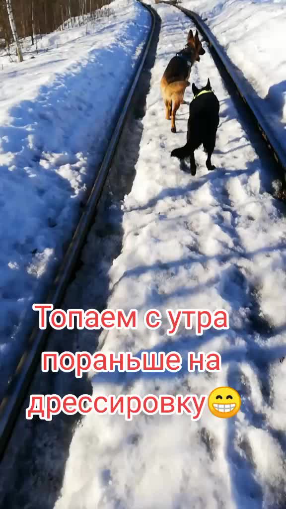 @Irinagerasimova