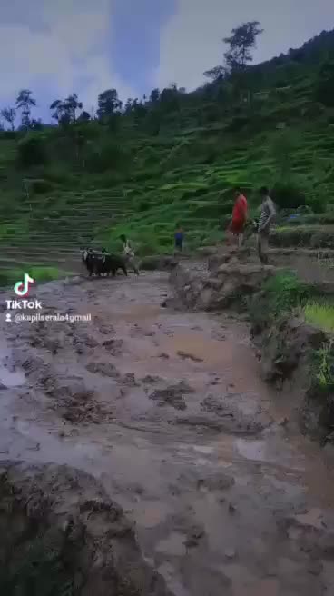 @royalsarkar