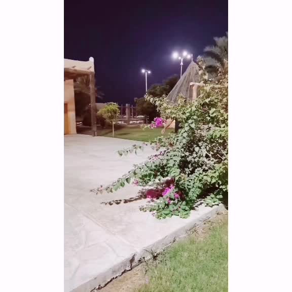 @Praveen KP