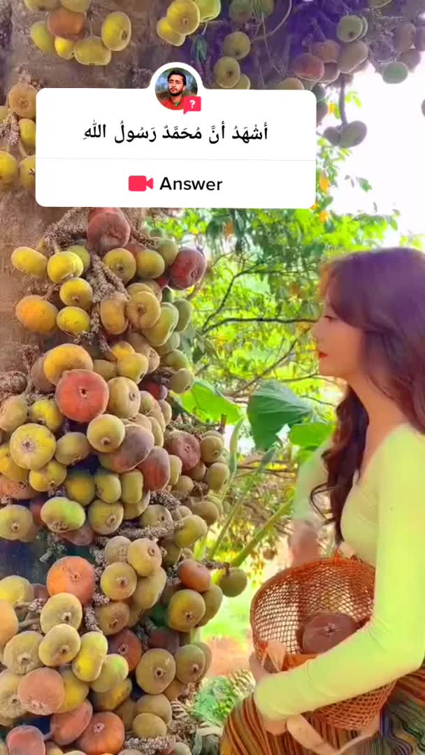 @🍎🍓🍒🍊🍍