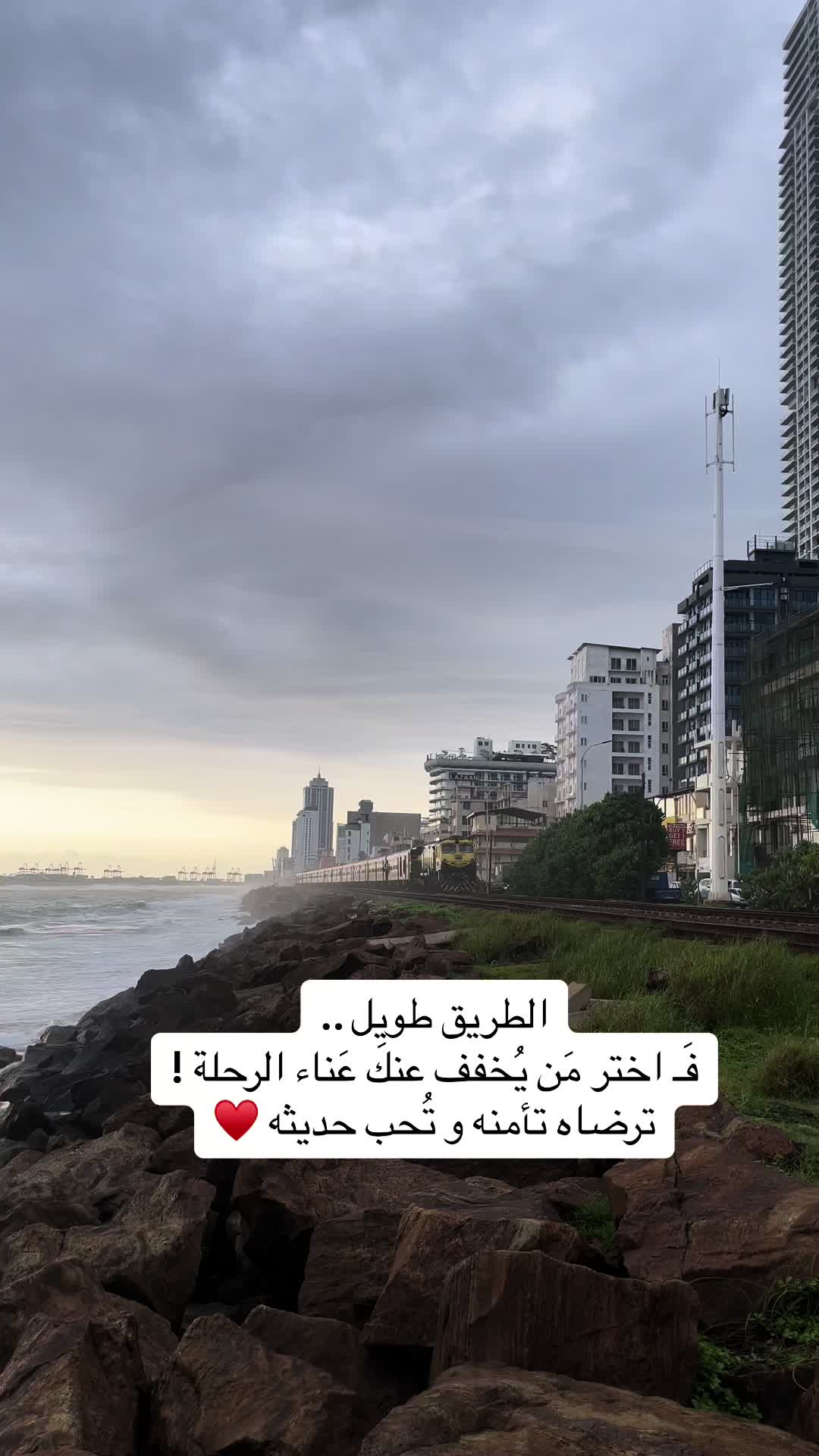 @ورد تبوك🌺✨