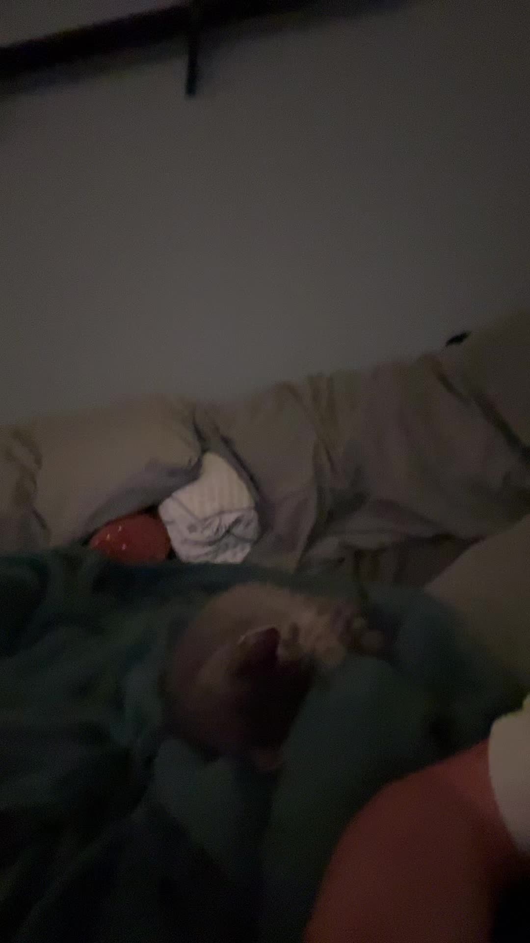 @connr_read