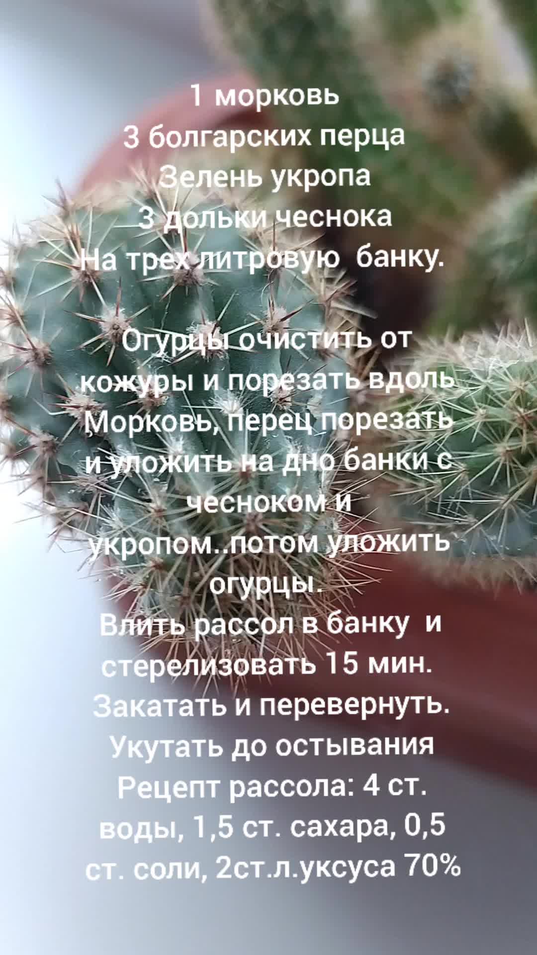 @Дневники многомамы