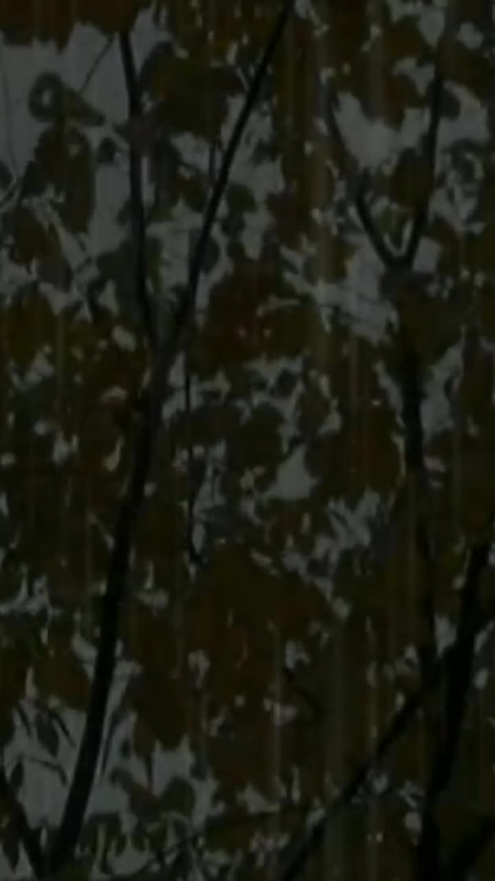 @❤️О❤️Л❤️Е❤️С❤️Я❤️