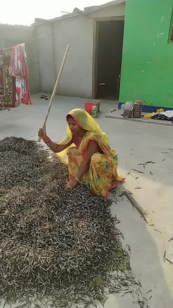 @Babita Sharma