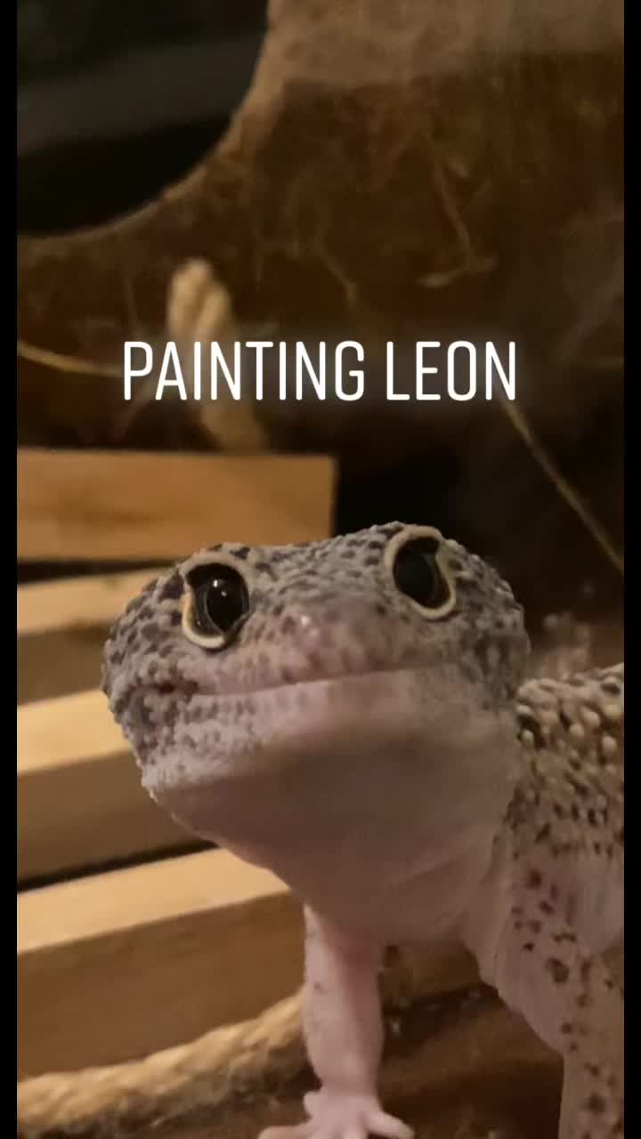 @Lali🤠