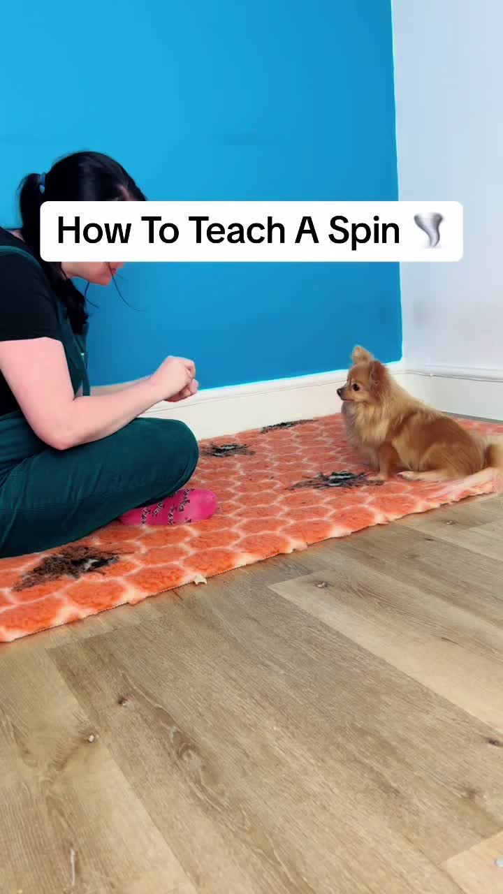 @Train Up Pup