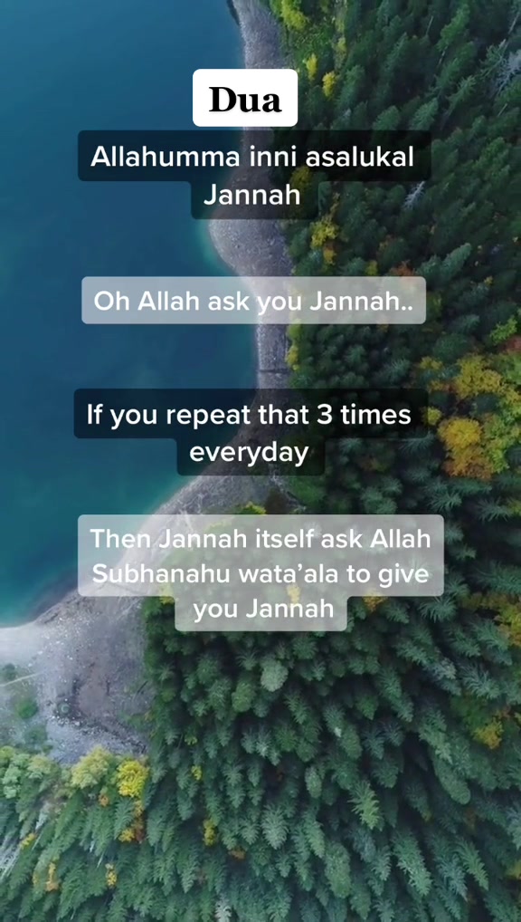 @Dreaming of Jannah