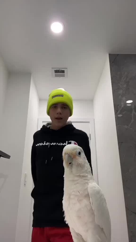 @.