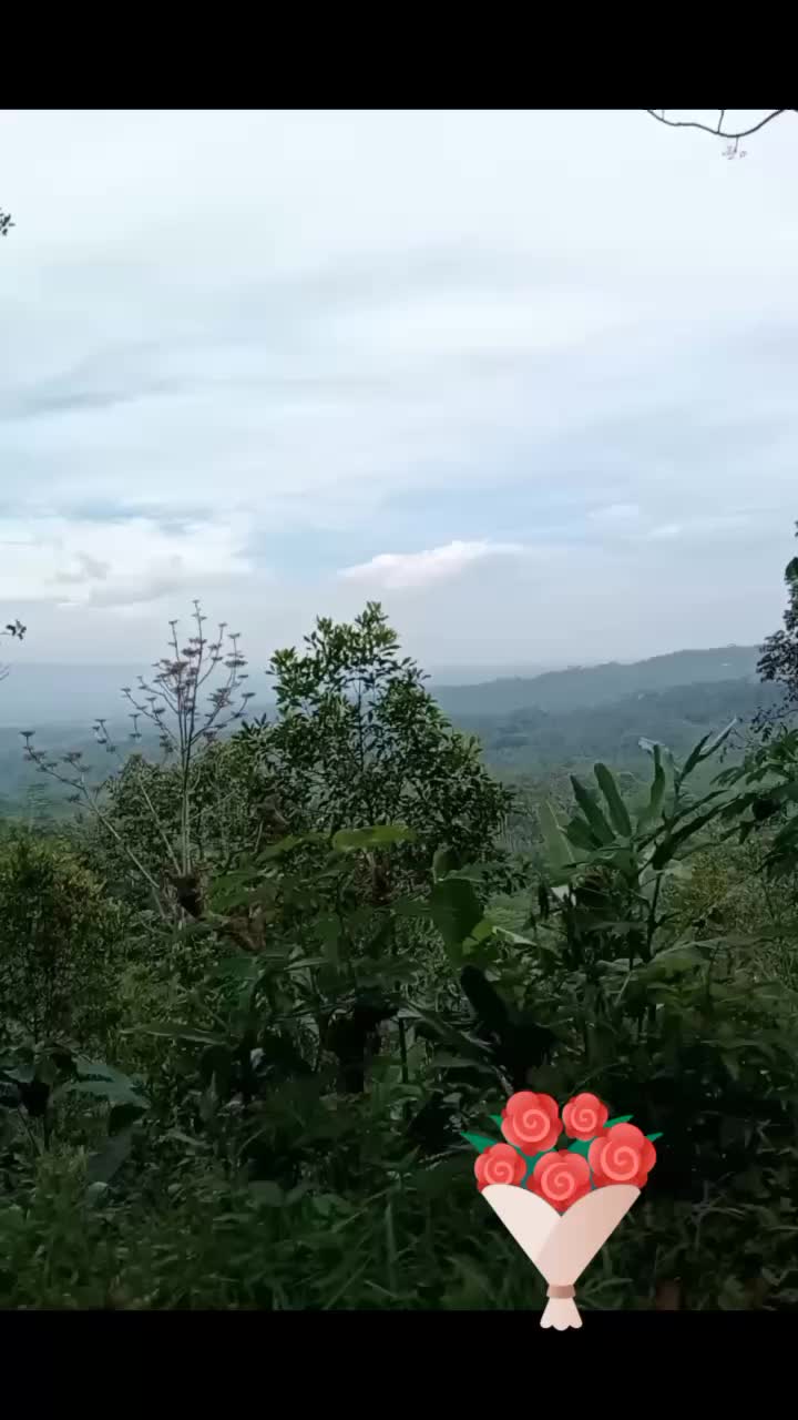 @Bunda Pita