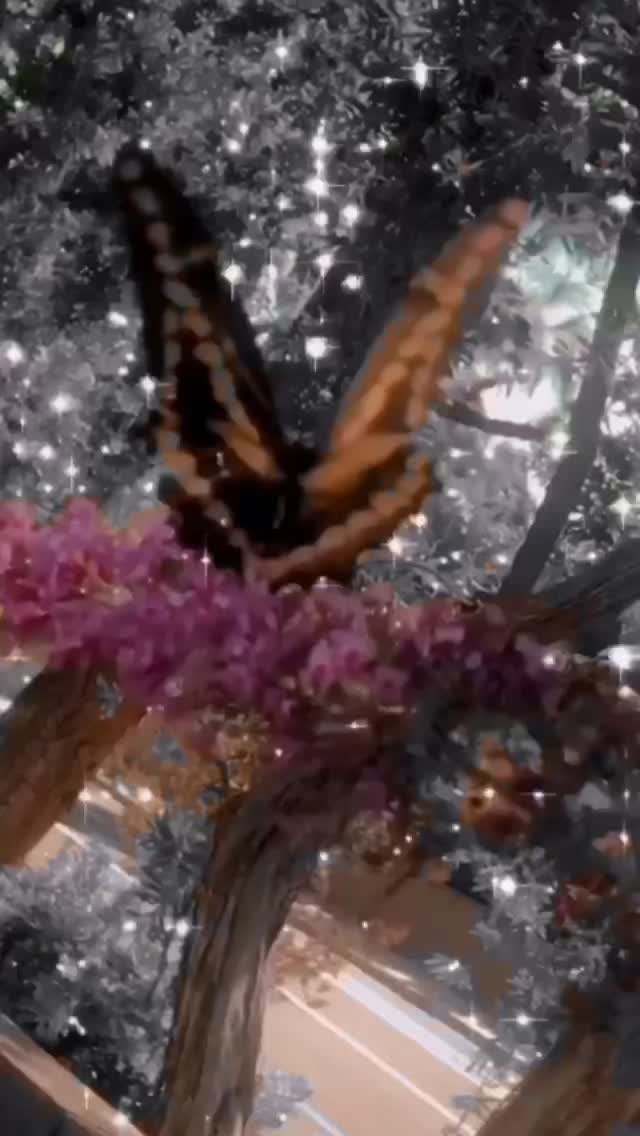 @Phantasmagoria&ensp;Meadows