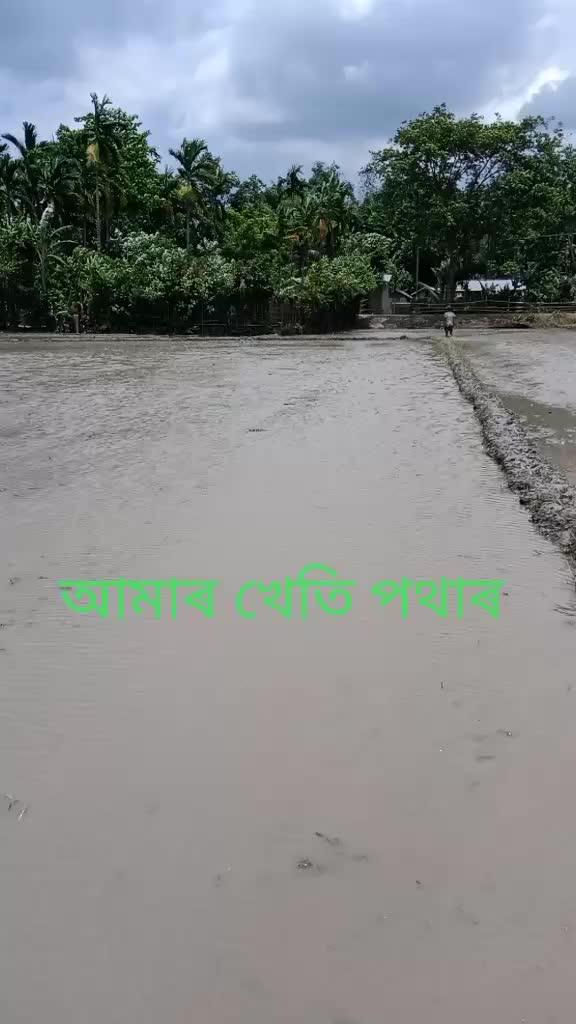 @Uttam Koch