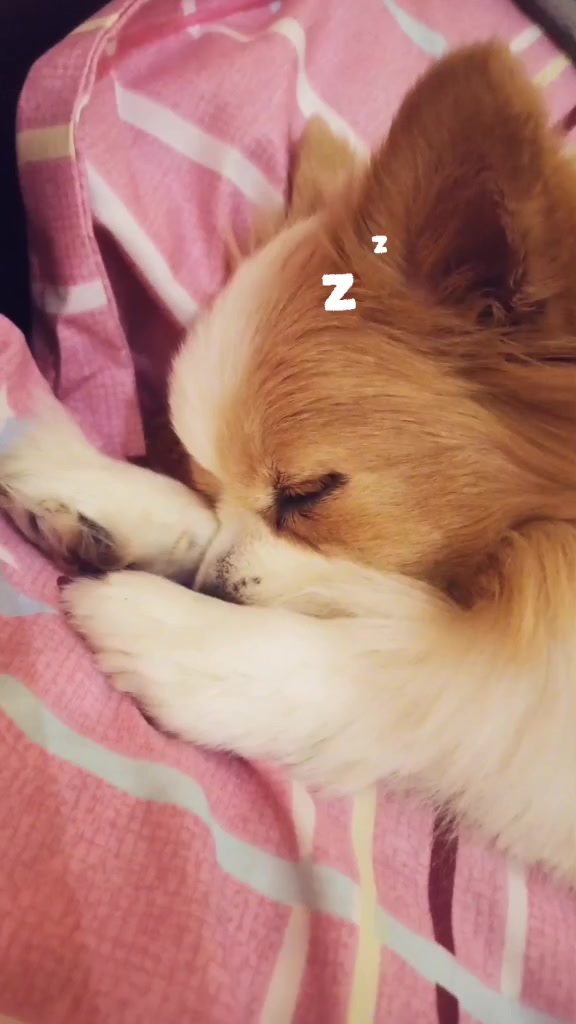 @Л&euml;лька